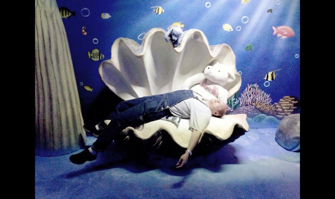 泰迪熊博物馆-芭堤雅必去景点