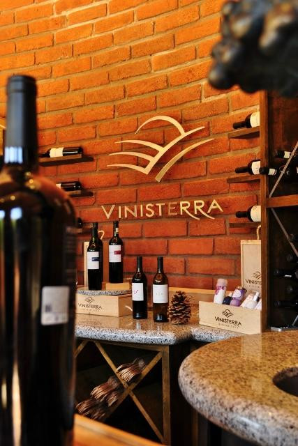 Vinisterra Vitivinícola景点图片