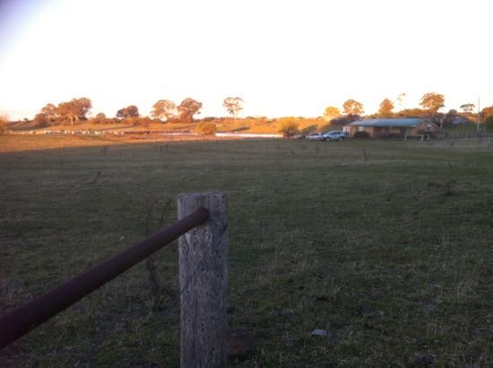 Silent Grove Farmstay Bed & Breakfast-客卧