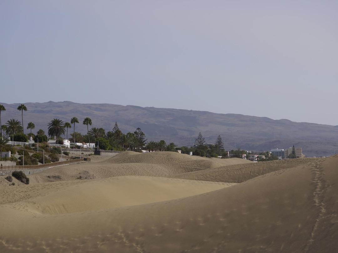 Reserva Natural Especial de Las Dunas de Maspalomas景点图片