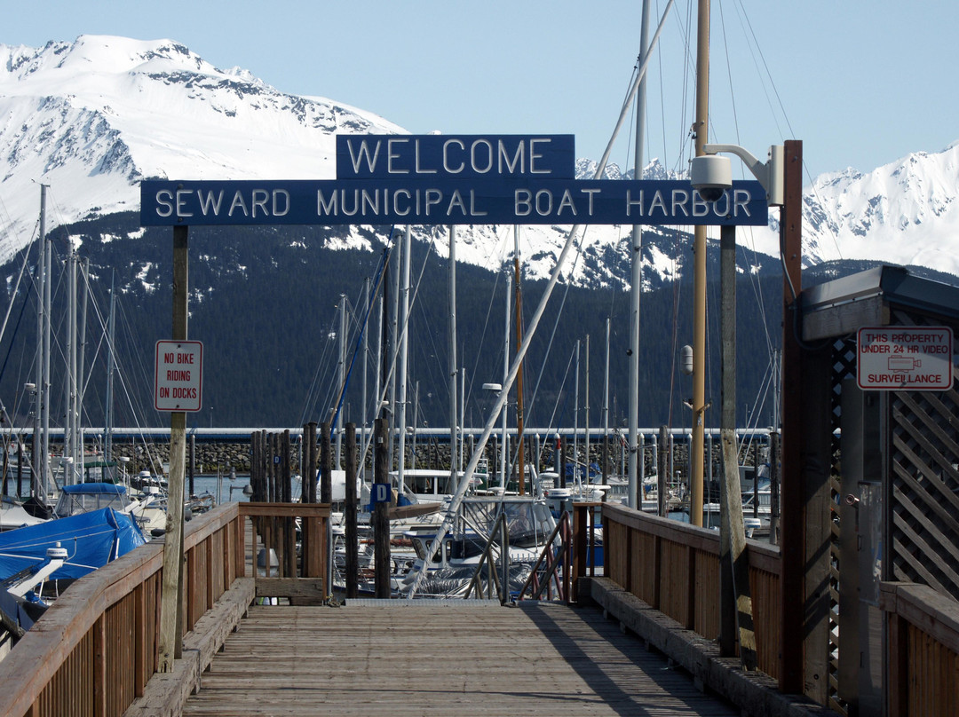 Seward Boat Harbor-苏厄德必去景点