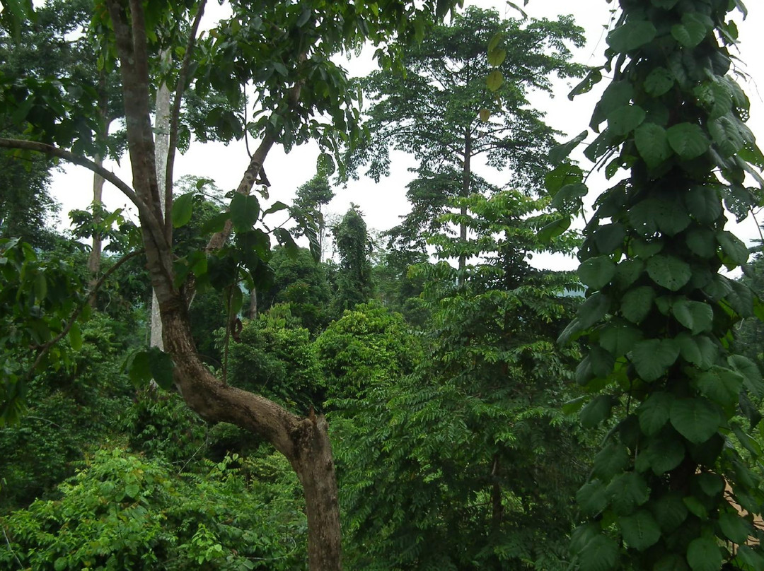 踏缤野生动物保护区-拉哈达图必去景点