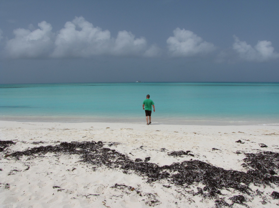 Long Island-长岛必去景点