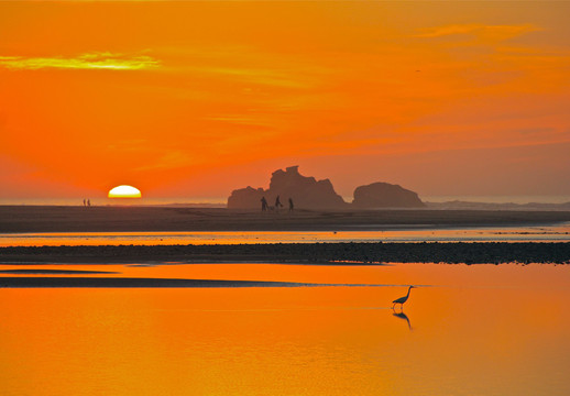 Wheels Across Morocco - Day Tours