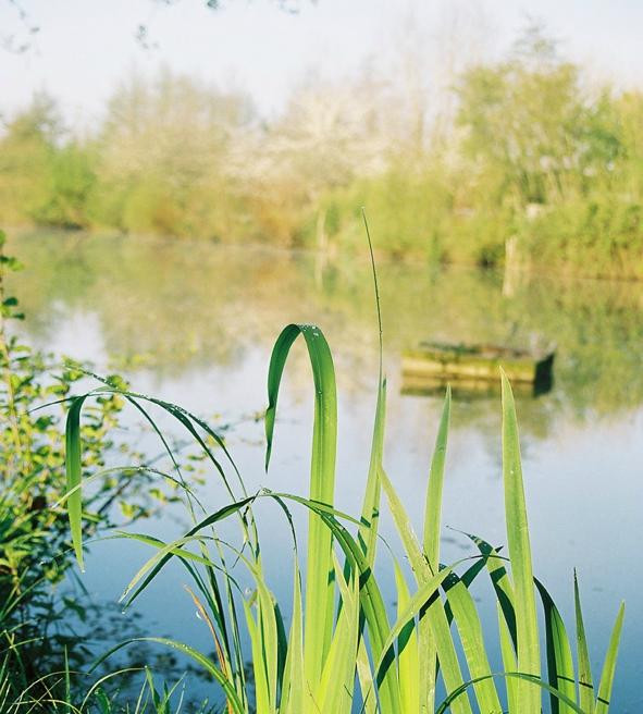 Le Parc de Pétrarque主图