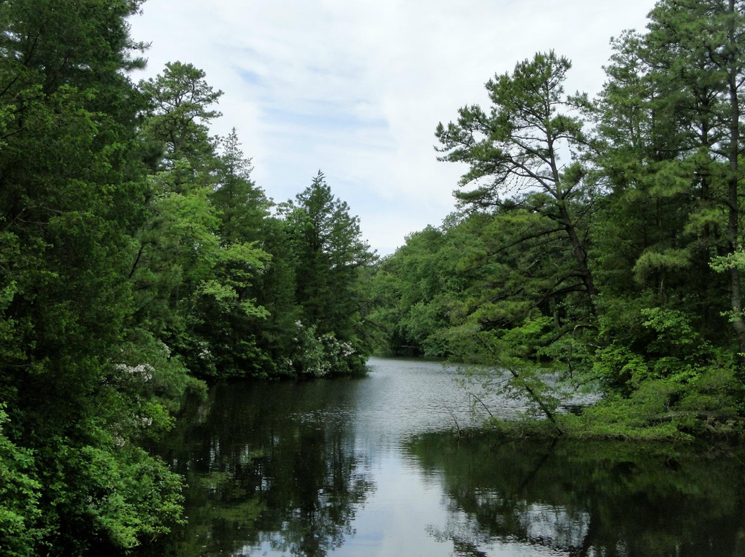 Cedar Run Wildlife Refuge景点图片