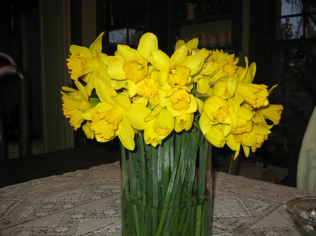 Madison Bed, Book & Candle主图