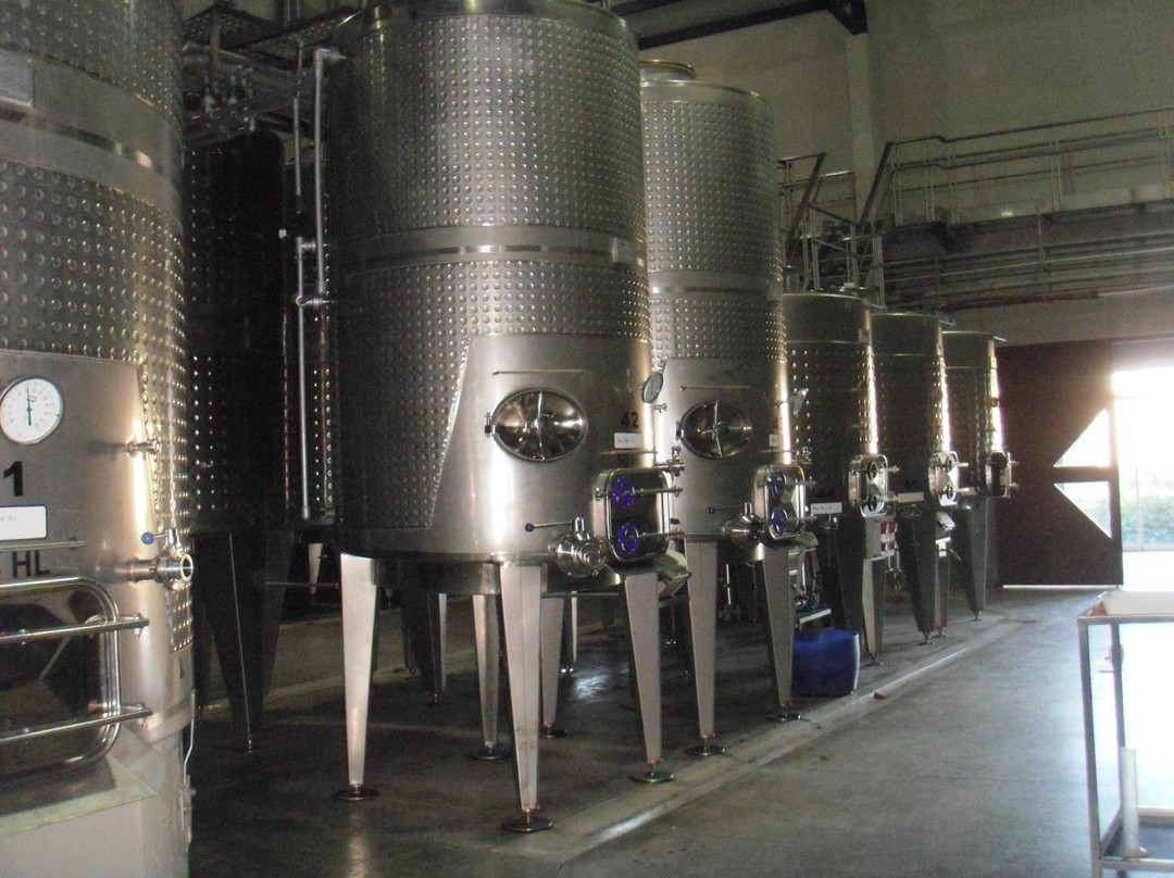 Experiencia Colomé-Molinos必去景点