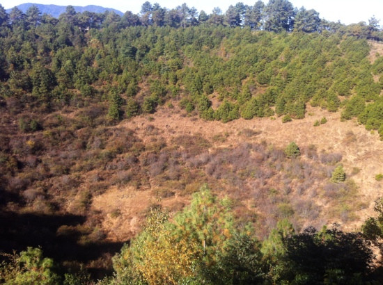 腾冲火山群景点图片