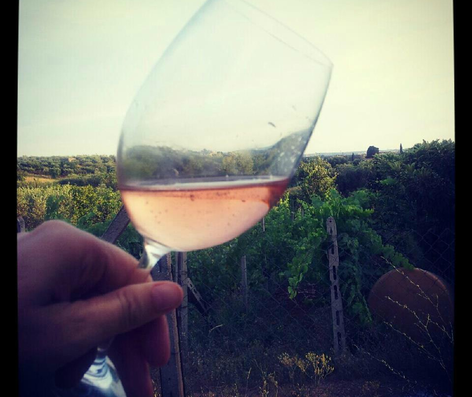 Antiqua Tours: Wine, Cultural and Culinary Experiences景点图片