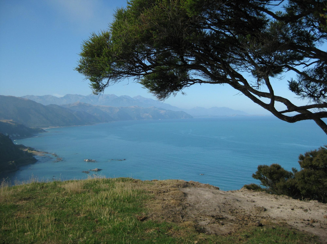 Glenstrae Farm 4 Wheel Adventures-Kaikoura必去景点
