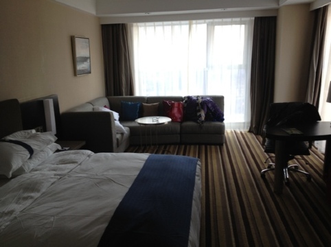 沈阳金廊广场智选假日酒店（青年大街店）-客卧