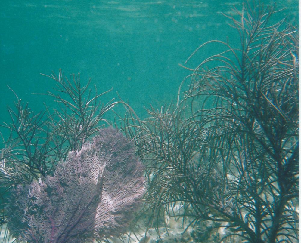 Cistern Cay Beach-伊柳塞拉必去景点