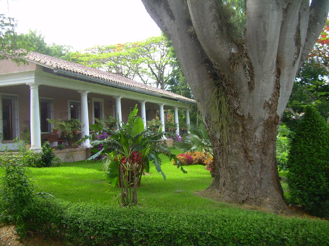 Museo El Lencero-哈拉帕必去景点