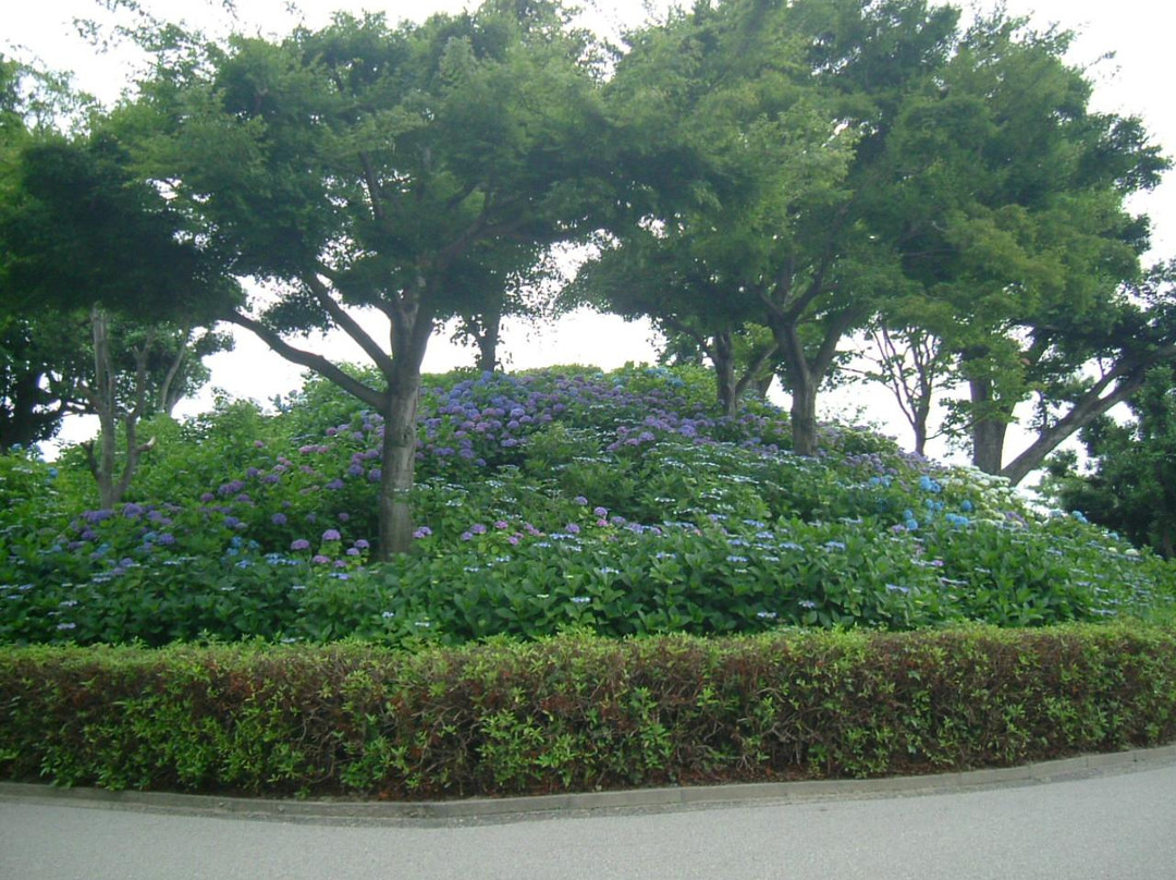 Otsuka Tomb景点图片