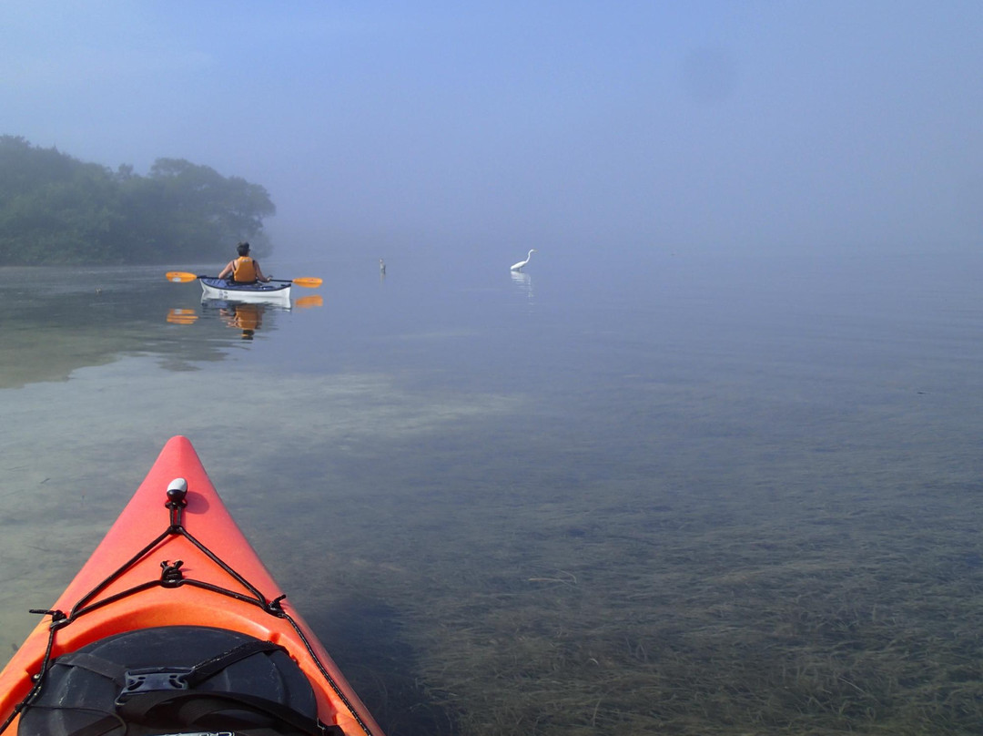 Osprey Bay Outdoors-克利尔沃特必去景点