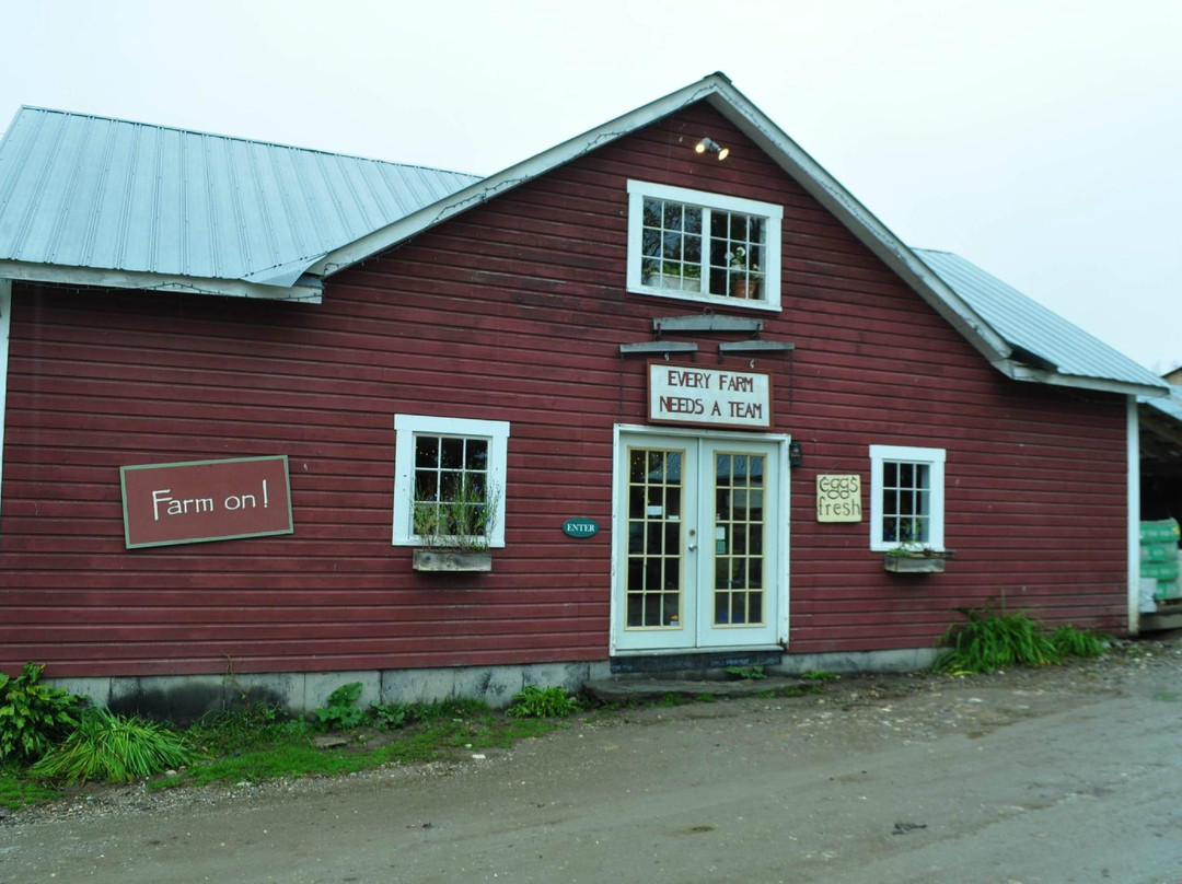 Taylor Farm-Londonderry必去景点