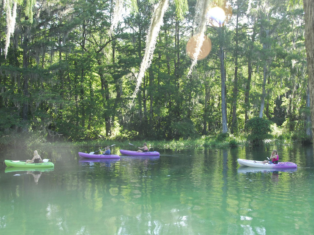 Aquatic Wilderness Adventures-Dunnellon必去景点