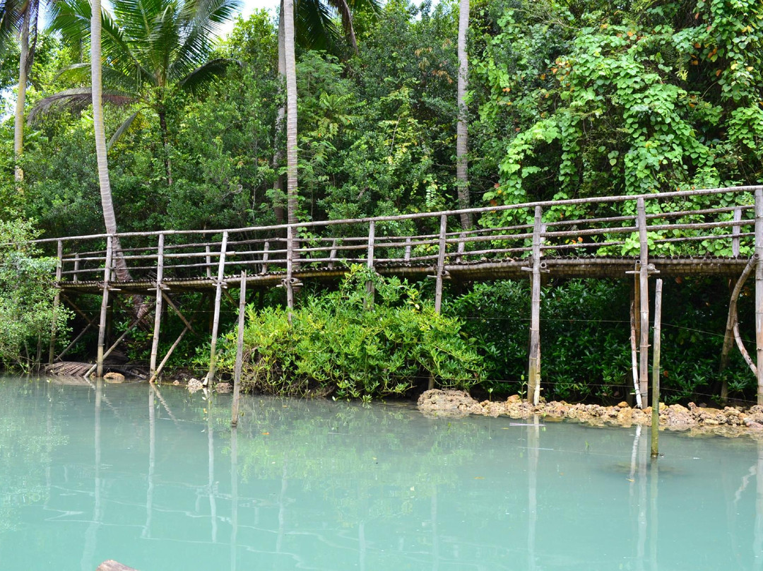 EcoTour Aloguinsan-宿雾必去景点