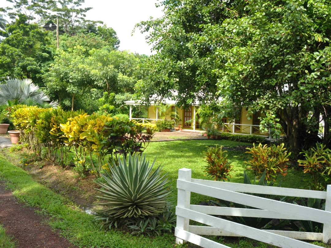 Jessamine Eden Botanic Garden-St. George's必去景点
