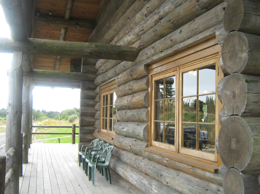 Rotorua Rail Cruising-罗托鲁瓦必去景点