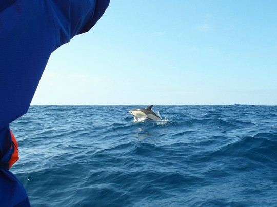 Mar Ilimitado-萨格里什必去景点