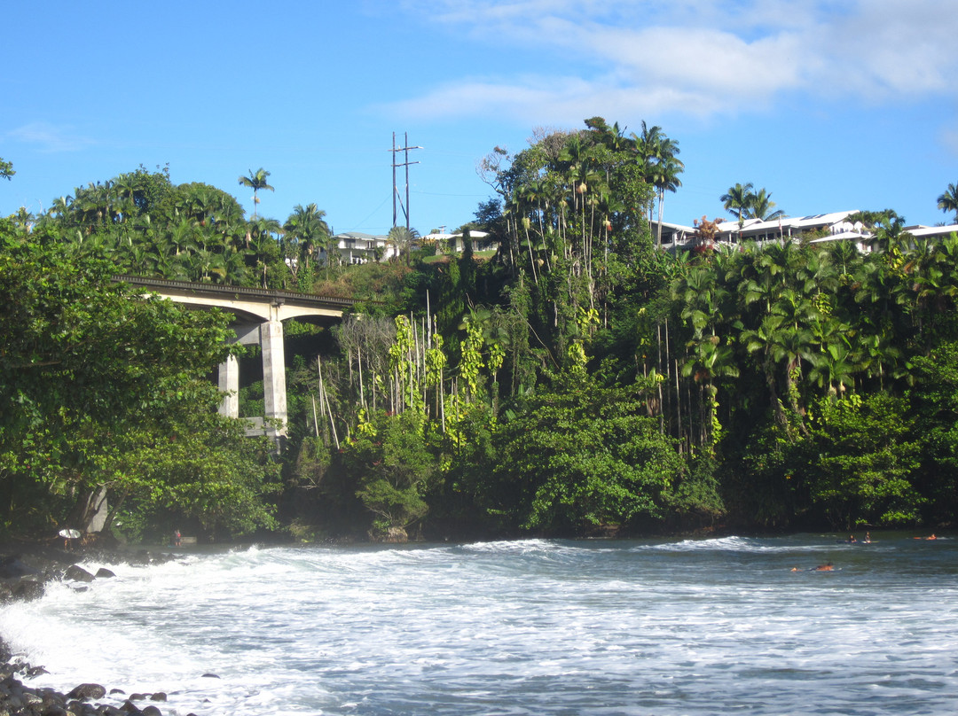 荷诺利海滨公园-希洛必去景点