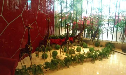 天美乐饭店(武汉武展店)主图