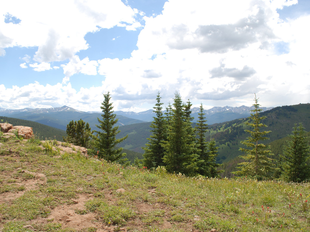 Nova Guides-Red Cliff必去景点