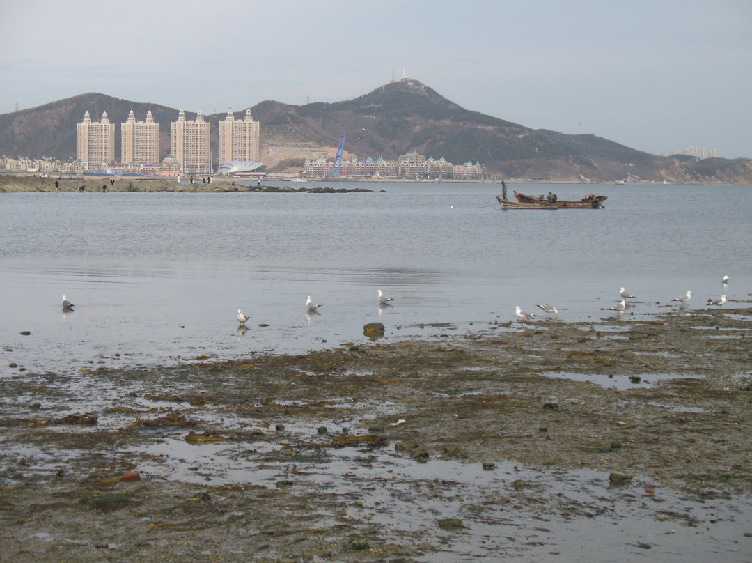 大连老虎滩广场-大连市必去景点