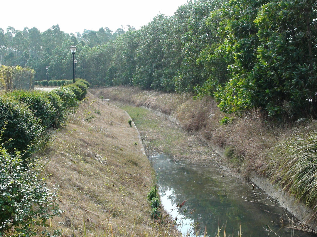 香江温泉度假村主图