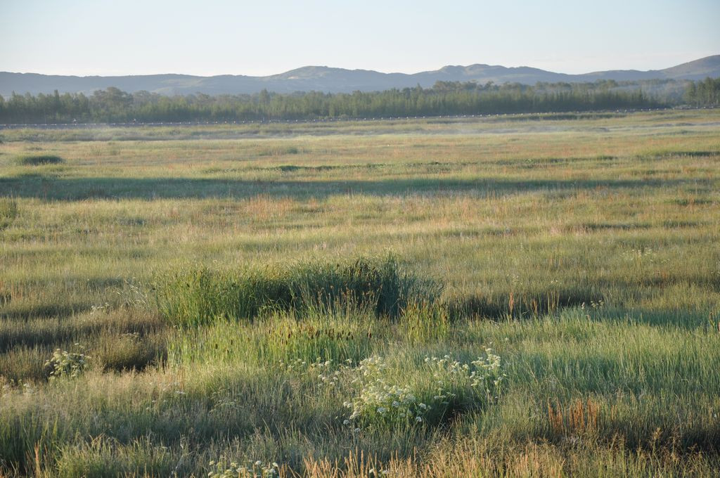 多伦大酒店主图