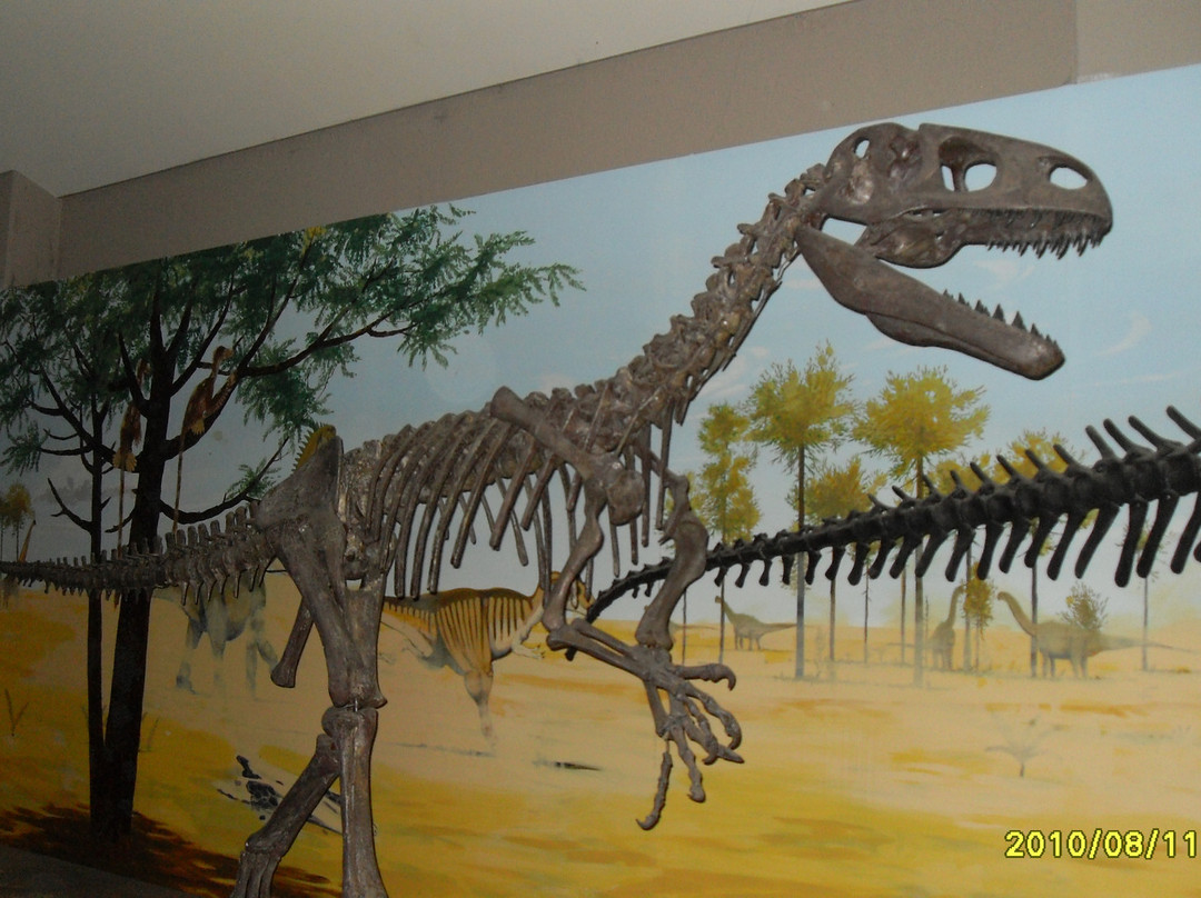 The National Dinosaur Museum景点图片