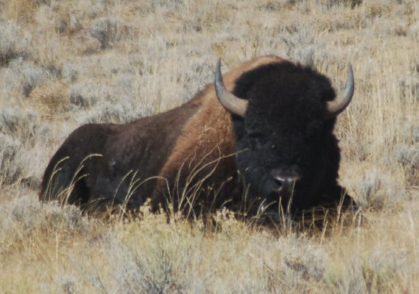 Lathrop State Park-Walsenburg必去景点