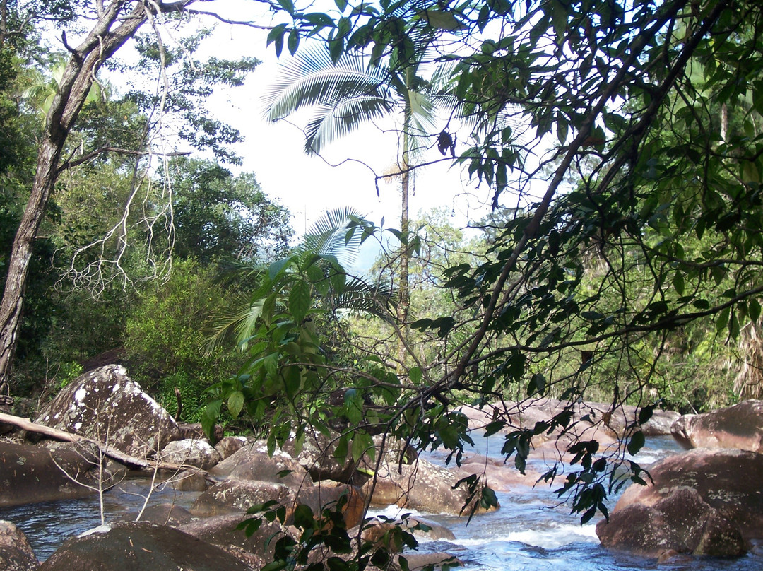 Eungella National Park景点图片