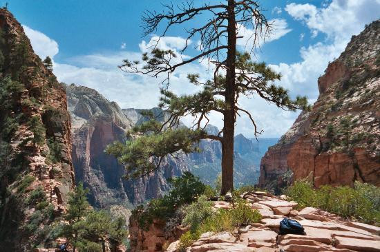 Angel's Landing-锡安国家公园必去景点