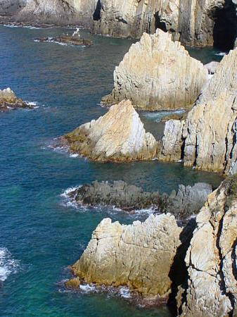 阿卡普尔科悬崖跳水-阿卡普尔科必去景点