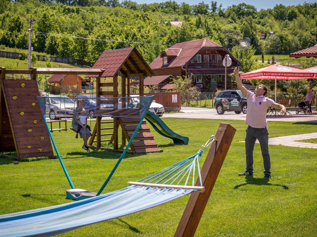 Pensiunea Nemeth主图