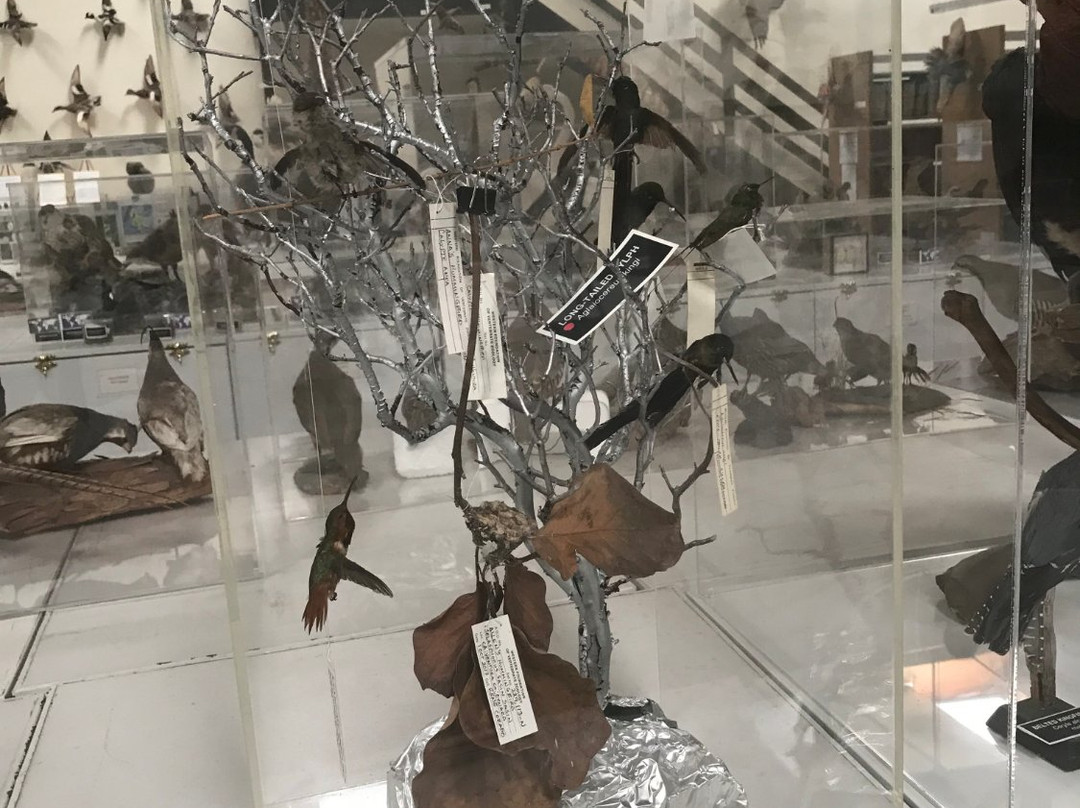 The Western Foundation of Vertebrate Zoology-卡马里奥必去景点