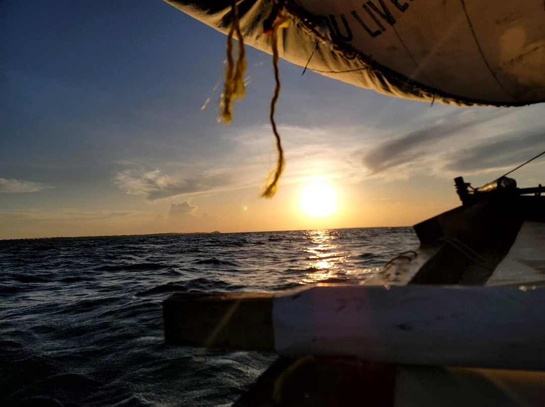 Mafia Marine National Park-马菲亚岛必去景点