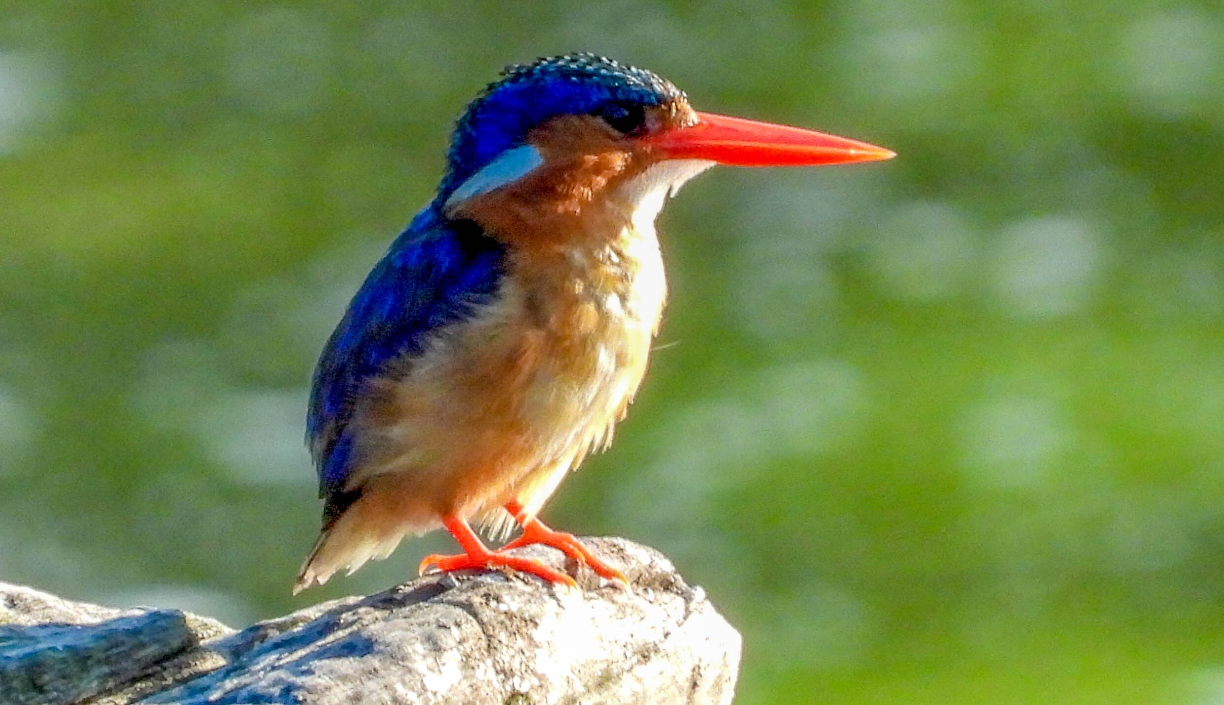 SleepOver Phabeni-官方