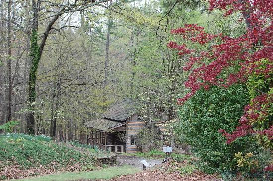 South Carolina Botanical Gardens景点图片