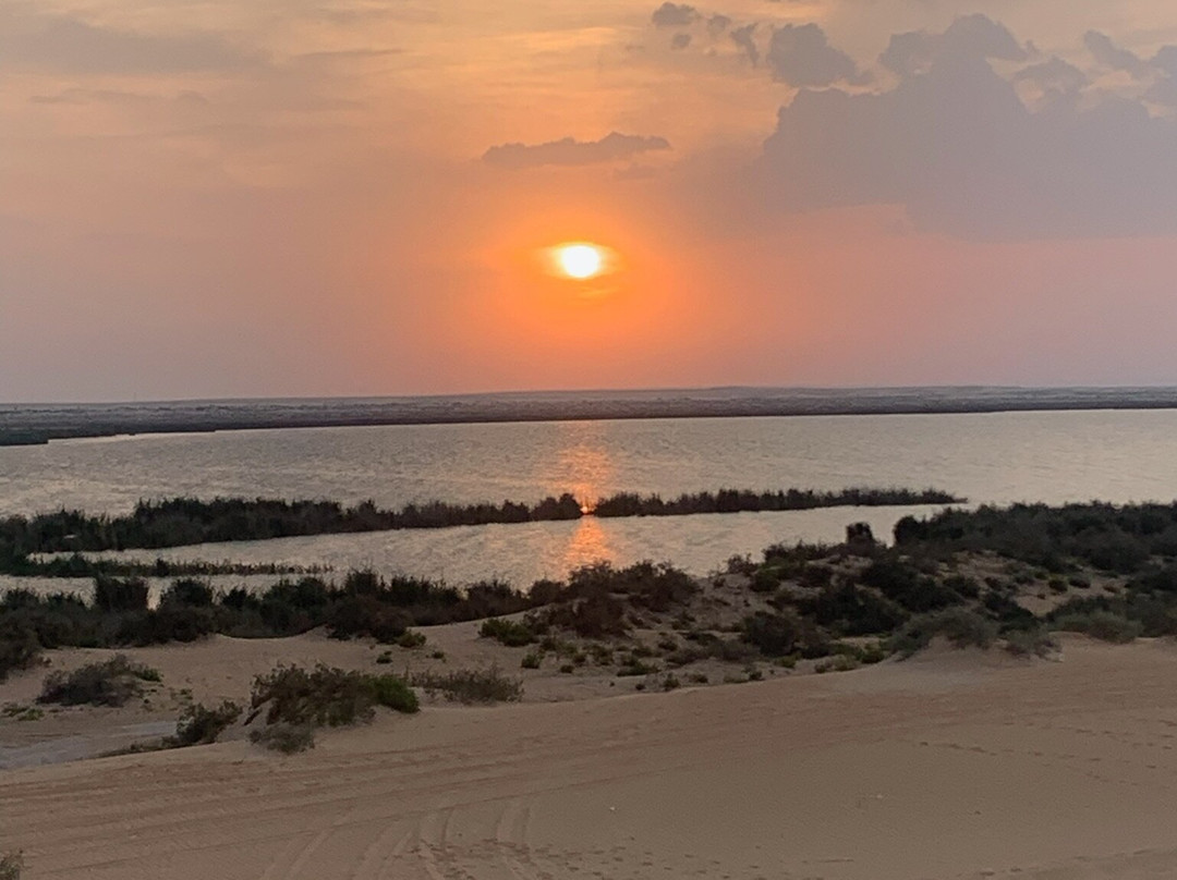 Alhasa Natural Attractions-Al Hofuf必去景点