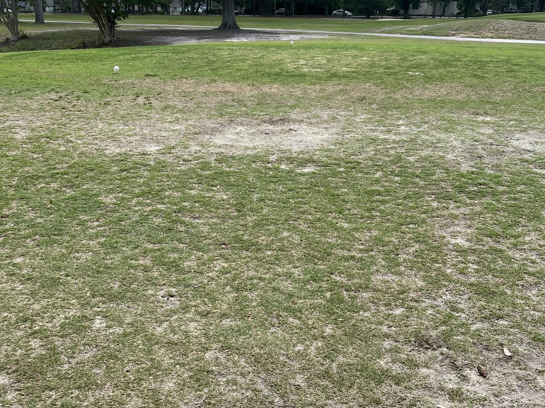 Arcadian Shores Golf Club-美特尔海滩必去景点