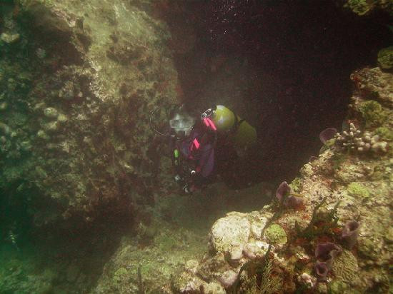 Cabrits Dive Centre-Portsmouth必去景点