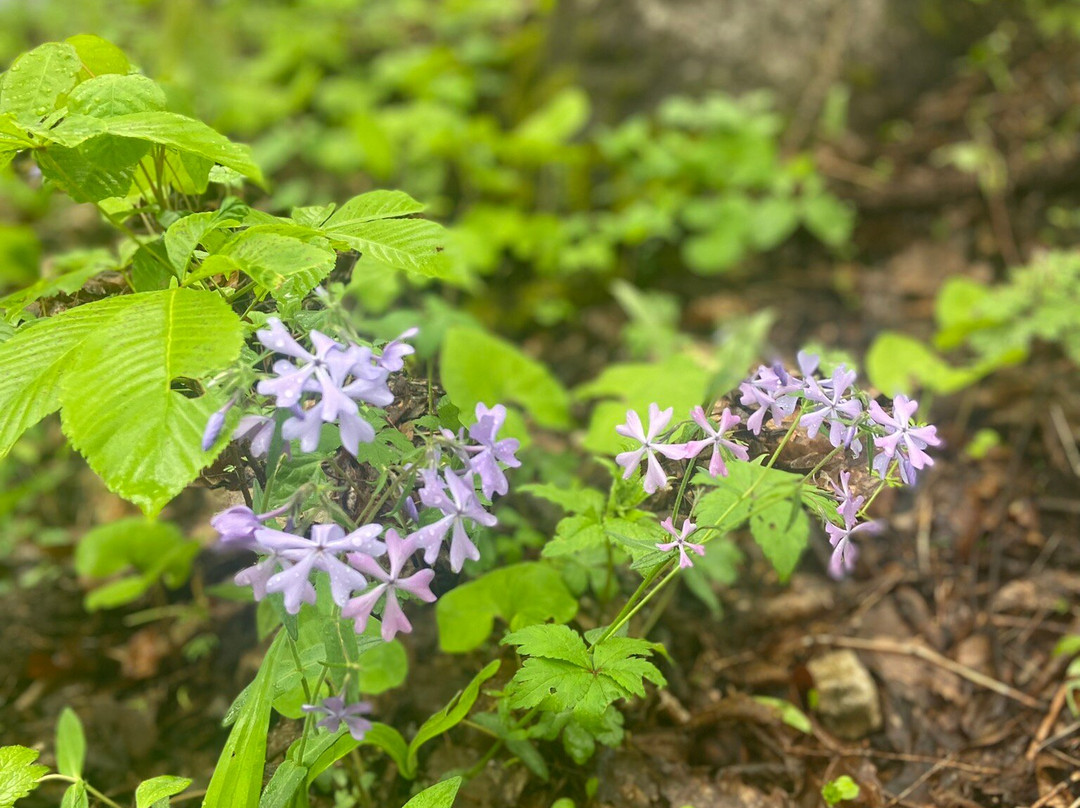 Battelle Darby Creek-Galloway必去景点