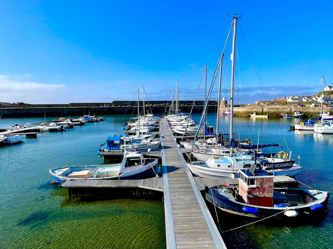 Findochty Harbour-Findochty必去景点