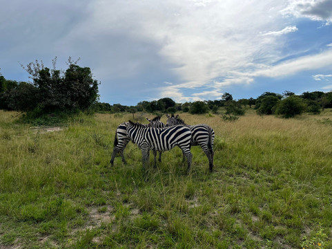 Kigali Atlantis Tours Ltd-吉佳利必去景点