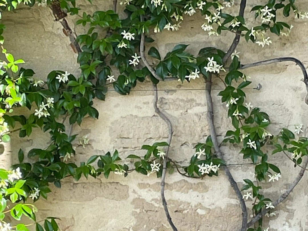 La Maison de La Bourgade主图