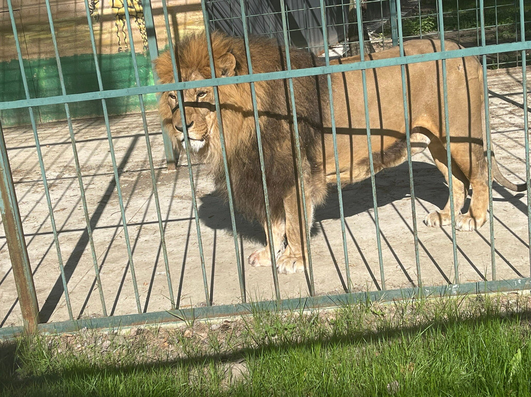 Zoo Park in Kostroma景点图片